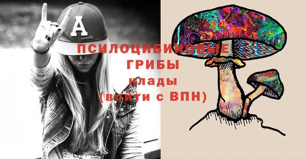 бошки Арсеньев