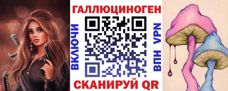 купить наркотик  Сураж  Псилоцибиновые грибы MAGIC MUSHROOMS 