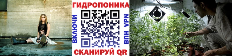 купить  цена  Сураж  mega вход  Бошки марихуана план 